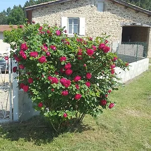 Au Cœur De La Nature , Bren France